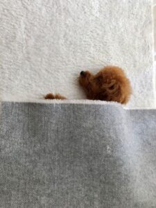 髙木 優実